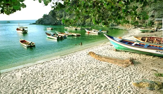 Restaurantes en Manzanillo, Margarita